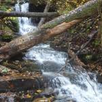 Ricketts Glen Waterfall