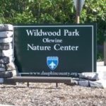 Wildwood Nature Center Logo