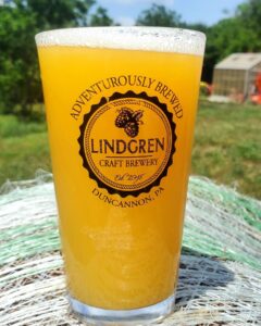 Photograph of a glass of beer with an Adventurously Brewed Duncannon, PA logo for the Lindgren Craft Brewery, est 2017.