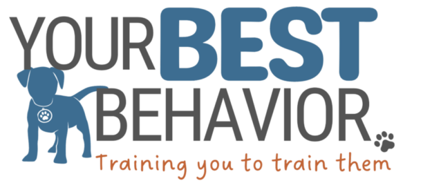 Logo for Your Best Behavior: Training you to train them has black, blue, and red letters with a puppy image.